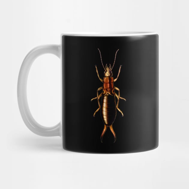 Follow The Earwig! Insect Collection by Squeeb Creative